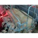 Beiser Environnement - Niche à porc isolée avec chauffage (Porcelet’Lib)